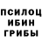 Галлюциногенные грибы MAGIC MUSHROOMS Stanislav Arshavskiy