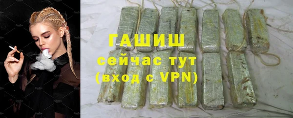 гидра Козловка
