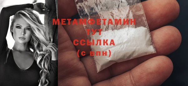 гидра Козловка