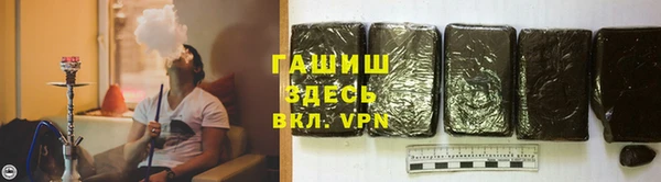 гидра Козловка