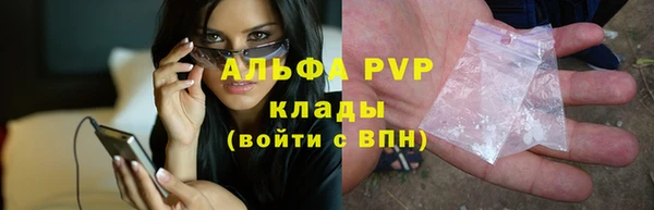 гидра Козловка
