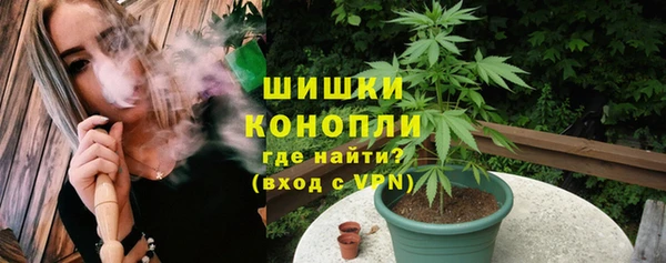 гидра Козловка