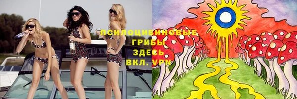 apvp Коряжма