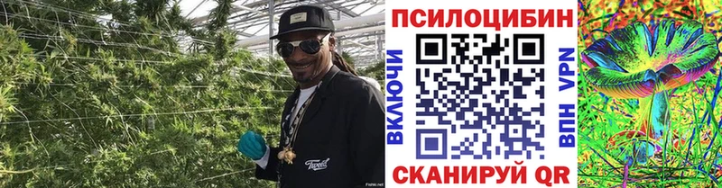 Галлюциногенные грибы MAGIC MUSHROOMS  где купить наркотик  Лангепас 